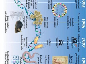 狗狗与人类DNA【狗狗与人类的 DNA 有哪些相似之处？】