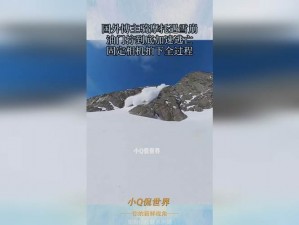 x9x9x9x9 任意槽 2024 免费，畅玩游戏无压力