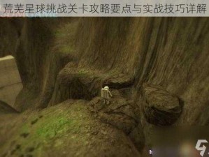 荒芜星球挑战关卡攻略要点与实战技巧详解