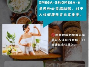 家族共享 OMEGA，安全高效的数据共享方案