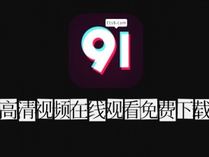 91 短视频下载免费软件安装，一款实用的视频播放软件