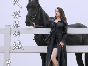 火辣辣 DJ 版原唱为什么这么火？如何找到原唱歌曲资源？怎样才能听到最原汁原味的版本？