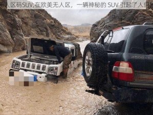 欧美无人区码SUV;在欧美无人区，一辆神秘的 SUV 引起了人们的注意