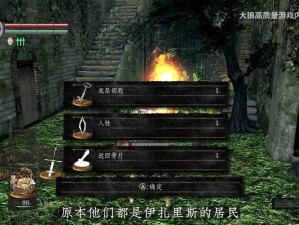 《黑暗之魂》道具获取与人性培养策略深度解析：道具收集与人性磨砺之道