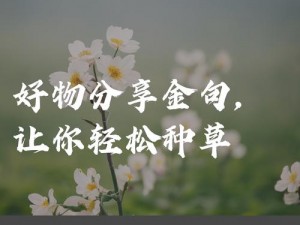 种草推荐：老婆说想三个人一起的好物