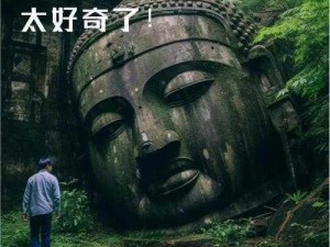 孤岛惊魂枪事业真相模糊引发深度思考：揭秘迷雾背后的未知挑战