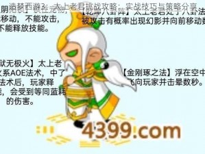 造梦西游3：太上老君挑战攻略：实战技巧与策略分享