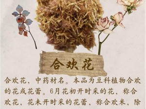 花核涂上合欢药【合欢花核能否涂药？有何功效？】