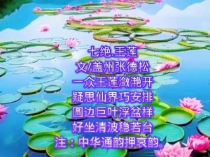 春动莲房;春动莲房，搅动一池春水