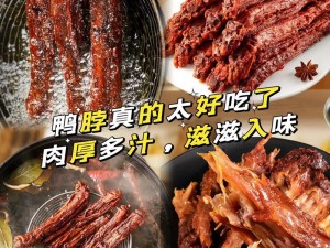 XZL 仙踪林中国大陆，严选原料，精心制作，带来美味与健康的完美结合