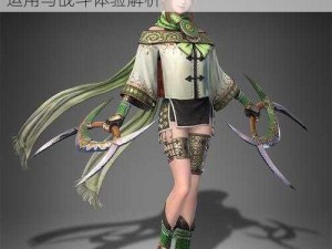 《真三国无双6》女将实战心得分享：策略运用与战斗体验解析