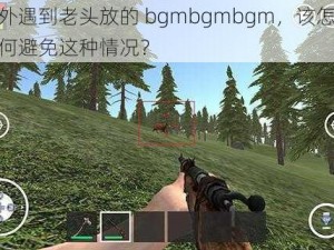 在野外遇到老头放的 bgmbgmbgm，该怎么办？如何避免这种情况？