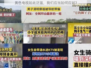 黄色电视如此泛滥，我们应当如何应对？