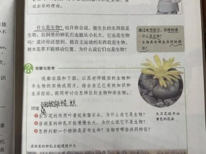 小诗如何成为生物课教具？