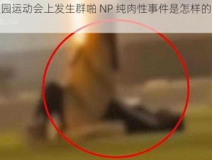 在校园运动会上发生群啪 NP 纯肉性事件是怎样的体验？