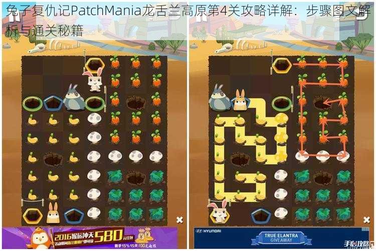 兔子复仇记PatchMania龙舌兰高原第4关攻略详解:步骤图文解析与通关秘籍