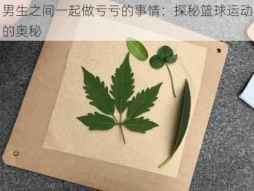 男生之间一起做亏亏的事情：探秘篮球运动的奥秘