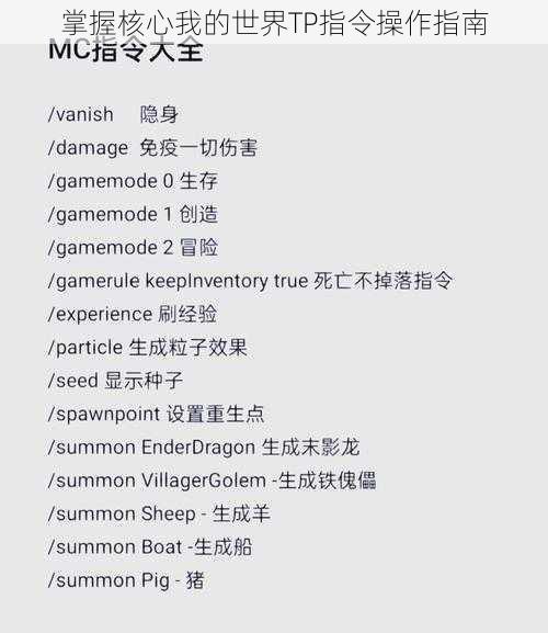 掌握核心我的世界TP指令操作指南