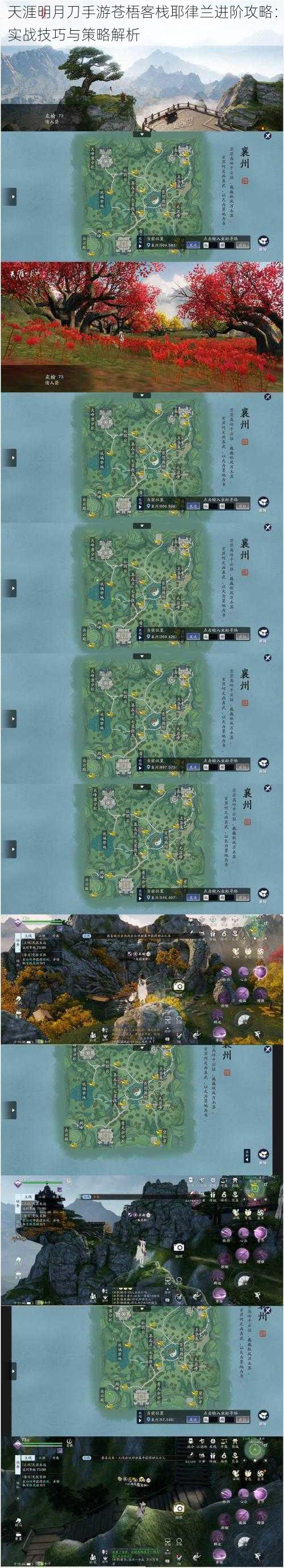 天涯明月刀手游苍梧客栈耶律兰进阶攻略：实战技巧与策略解析