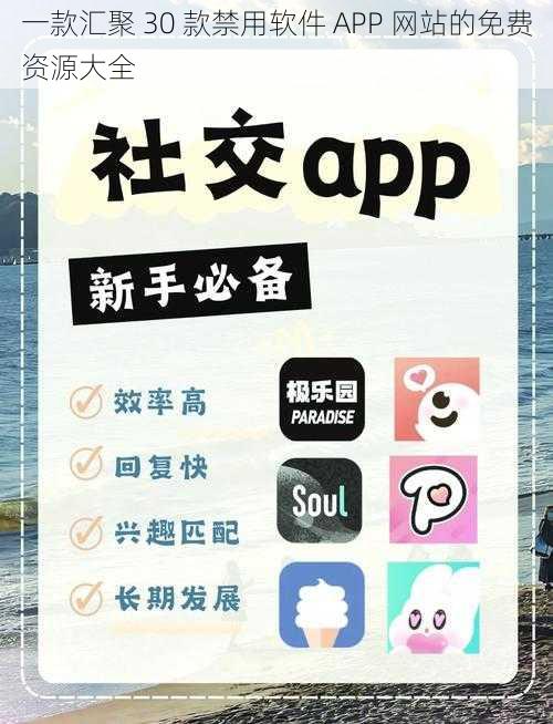 一款汇聚 30 款禁用软件 APP 网站的免费资源大全