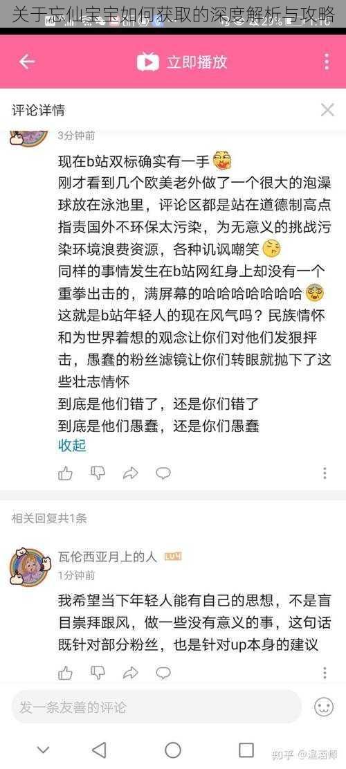 关于忘仙宝宝如何获取的深度解析与攻略