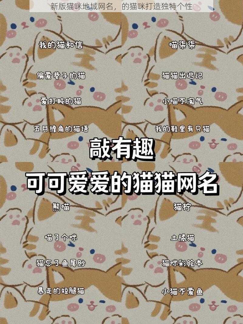 新版猫咪地域网名，的猫咪打造独特个性