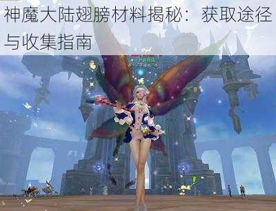 神魔大陆翅膀材料揭秘:获取途径与收集指南