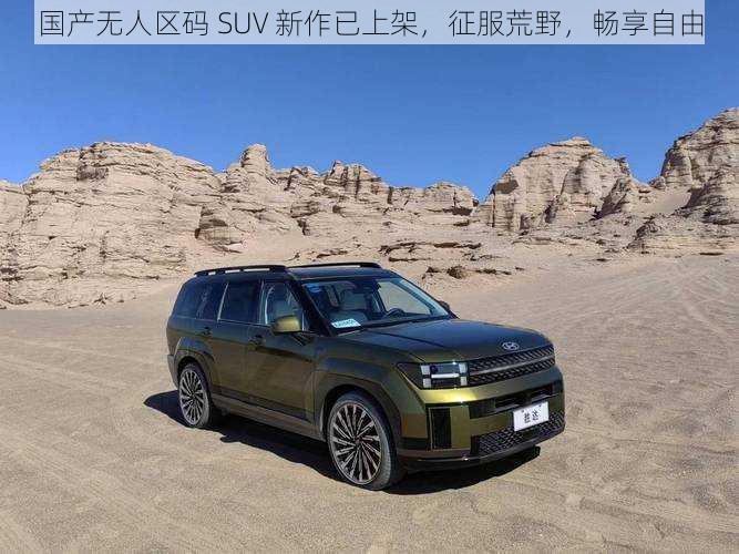 国产无人区码 SUV 新作已上架，征服荒野，畅享自由