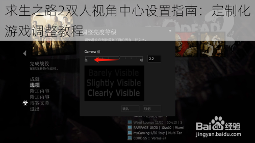 求生之路2双人视角中心设置指南：定制化游戏调整教程