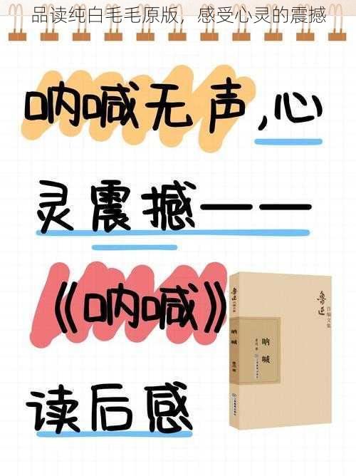 品读纯白毛毛原版，感受心灵的震撼