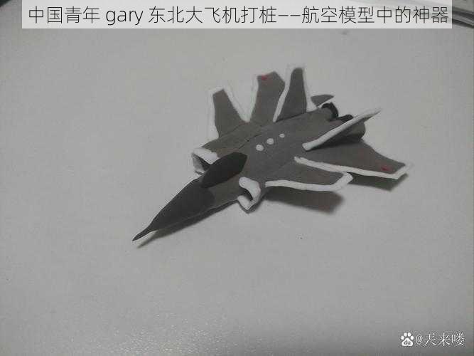 中国青年 gary 东北大飞机打桩——航空模型中的神器