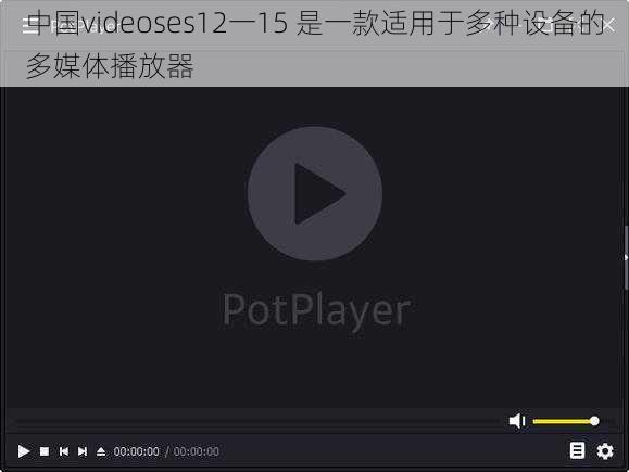 中国videoses12一15 是一款适用于多种设备的多媒体播放器