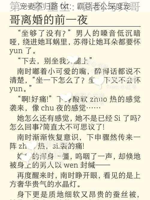 宠妻不归路 txt：霸总老公深度宠