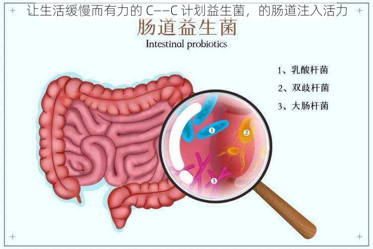 让生活缓慢而有力的 C——C 计划益生菌，的肠道注入活力