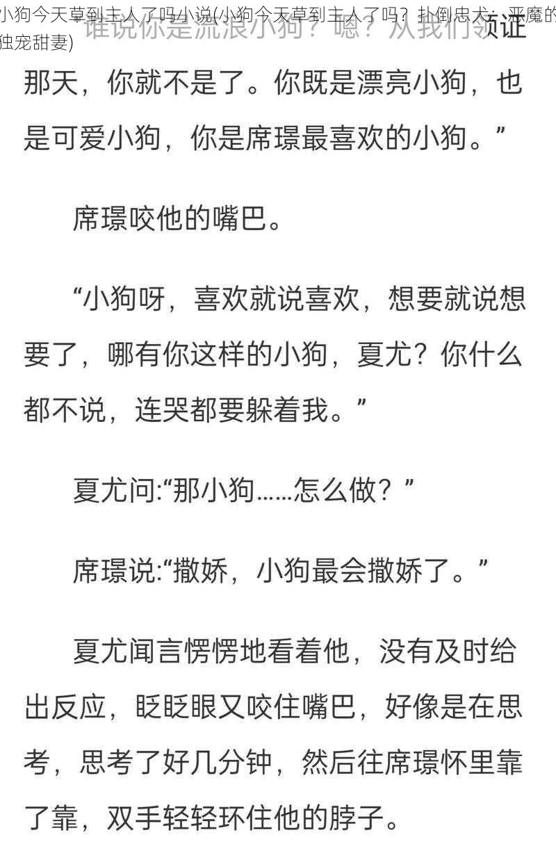 小狗今天草到主人了吗小说(小狗今天草到主人了吗？扑倒忠犬：恶魔的独宠甜妻)