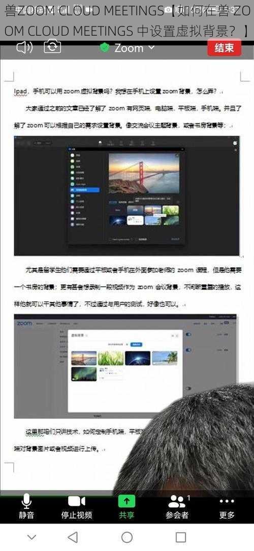 兽ZOOM CLOUD MEETINGS【如何在兽 ZOOM CLOUD MEETINGS 中设置虚拟背景？】