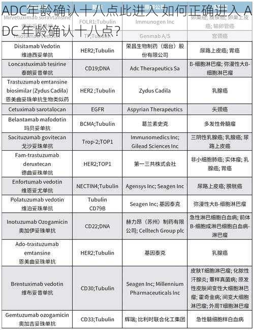 ADC年龄确认十八点此进入 如何正确进入 ADC 年龄确认十八点？