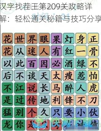 汉字找茬王第209关攻略详解：轻松通关秘籍与技巧分享