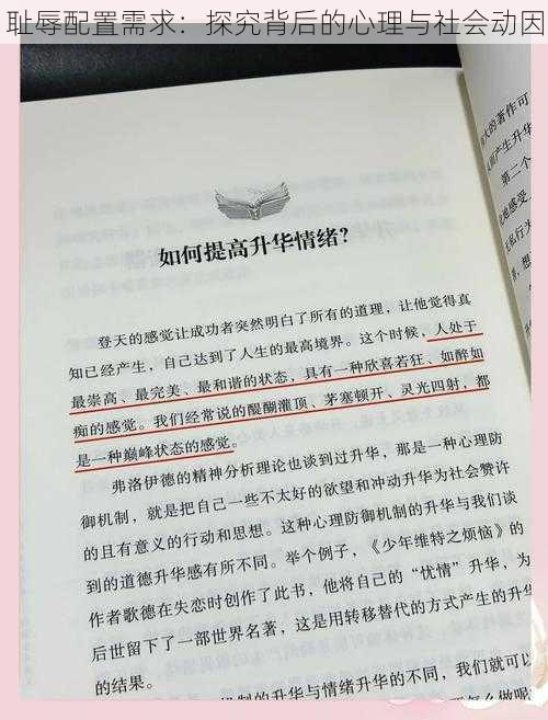 耻辱配置需求：探究背后的心理与社会动因