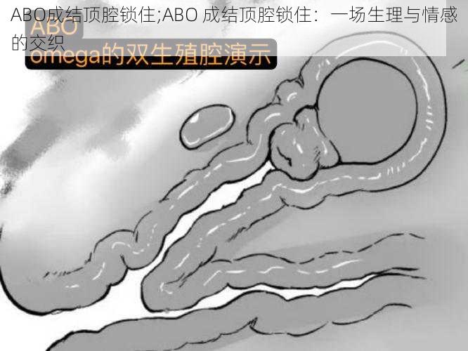 ABO成结顶腔锁住;ABO 成结顶腔锁住：一场生理与情感的交织