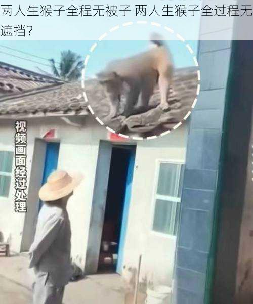 两人生猴子全程无被子 两人生猴子全过程无遮挡？