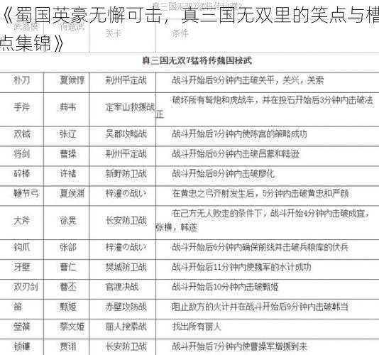 《蜀国英豪无懈可击，真三国无双里的笑点与槽点集锦》