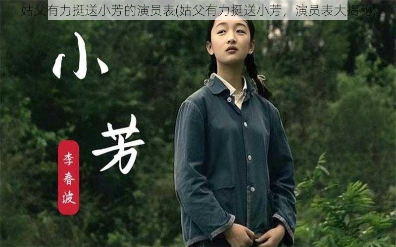 姑父有力挺送小芳的演员表(姑父有力挺送小芳，演员表大揭秘)