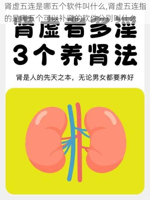 肾虚五连是哪五个软件叫什么,肾虚五连指的是哪五个可以补肾的软件分别叫什么