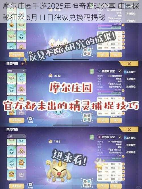 摩尔庄园手游2025年神奇密码分享 庄园探秘狂欢 6月11日独家兑换码揭秘