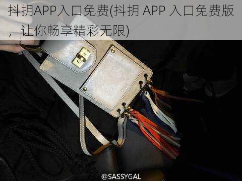 抖抈APP入口免费(抖抈 APP 入口免费版，让你畅享精彩无限)