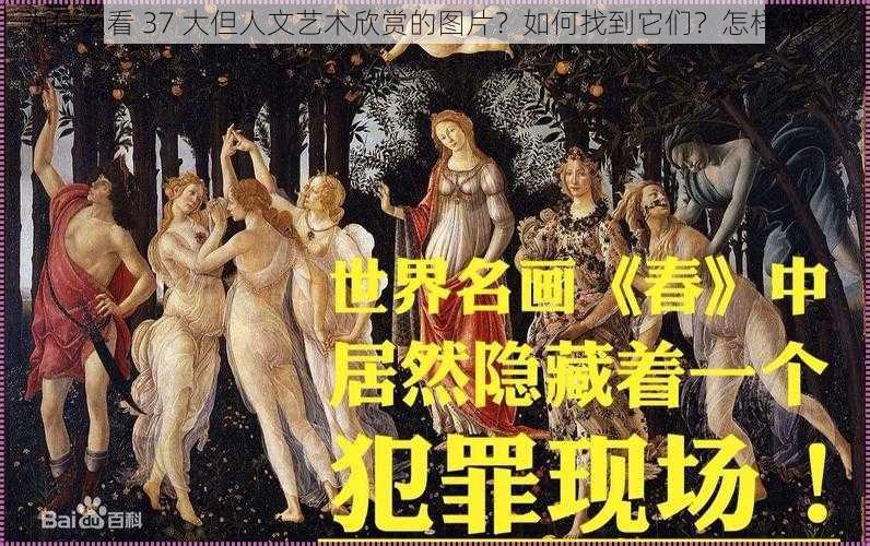 为什么看 37 大但人文艺术欣赏的图片？如何找到它们？怎样欣赏？