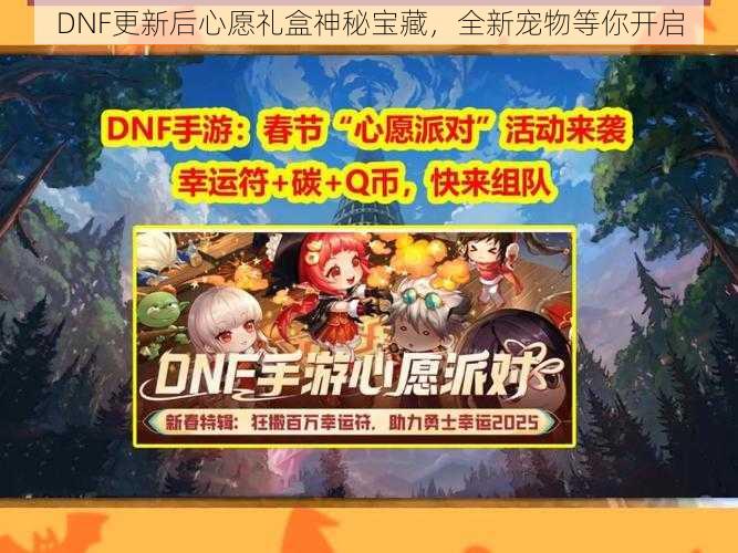 DNF更新后心愿礼盒神秘宝藏，全新宠物等你开启