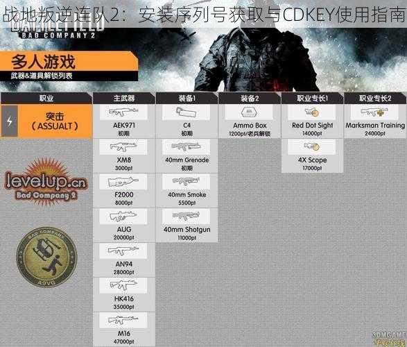 战地叛逆连队2：安装序列号获取与CDKEY使用指南