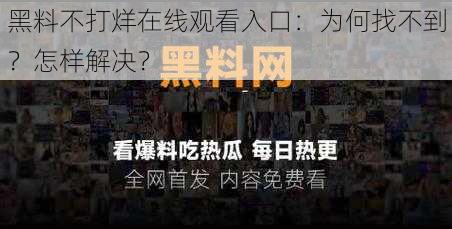 黑料不打烊在线观看入口：为何找不到？怎样解决？